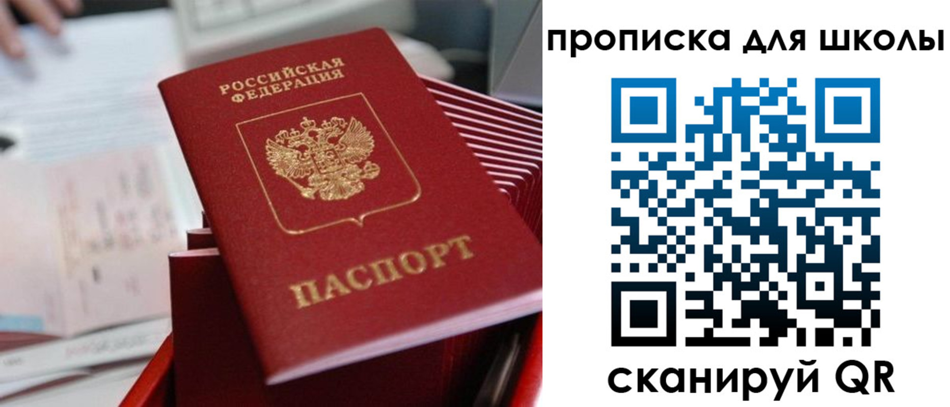 прописка для школы в Павловске